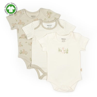 Organik Kısa Kollu Body 3’lü Kutulu Set